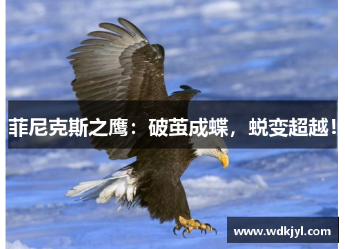 菲尼克斯之鹰：破茧成蝶，蜕变超越！